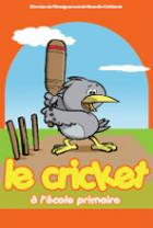 image cricket